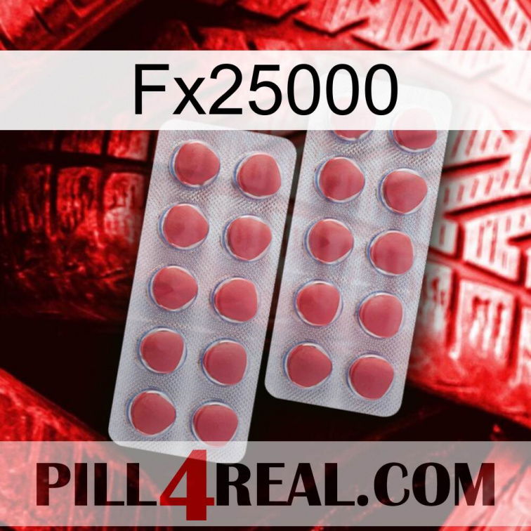 Fx25000 19